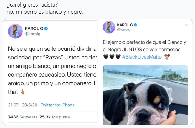 Karol G Compara Lucha Contra El Racismo Con Los Colores De Su Perro