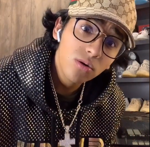 louis vuitton tiktok