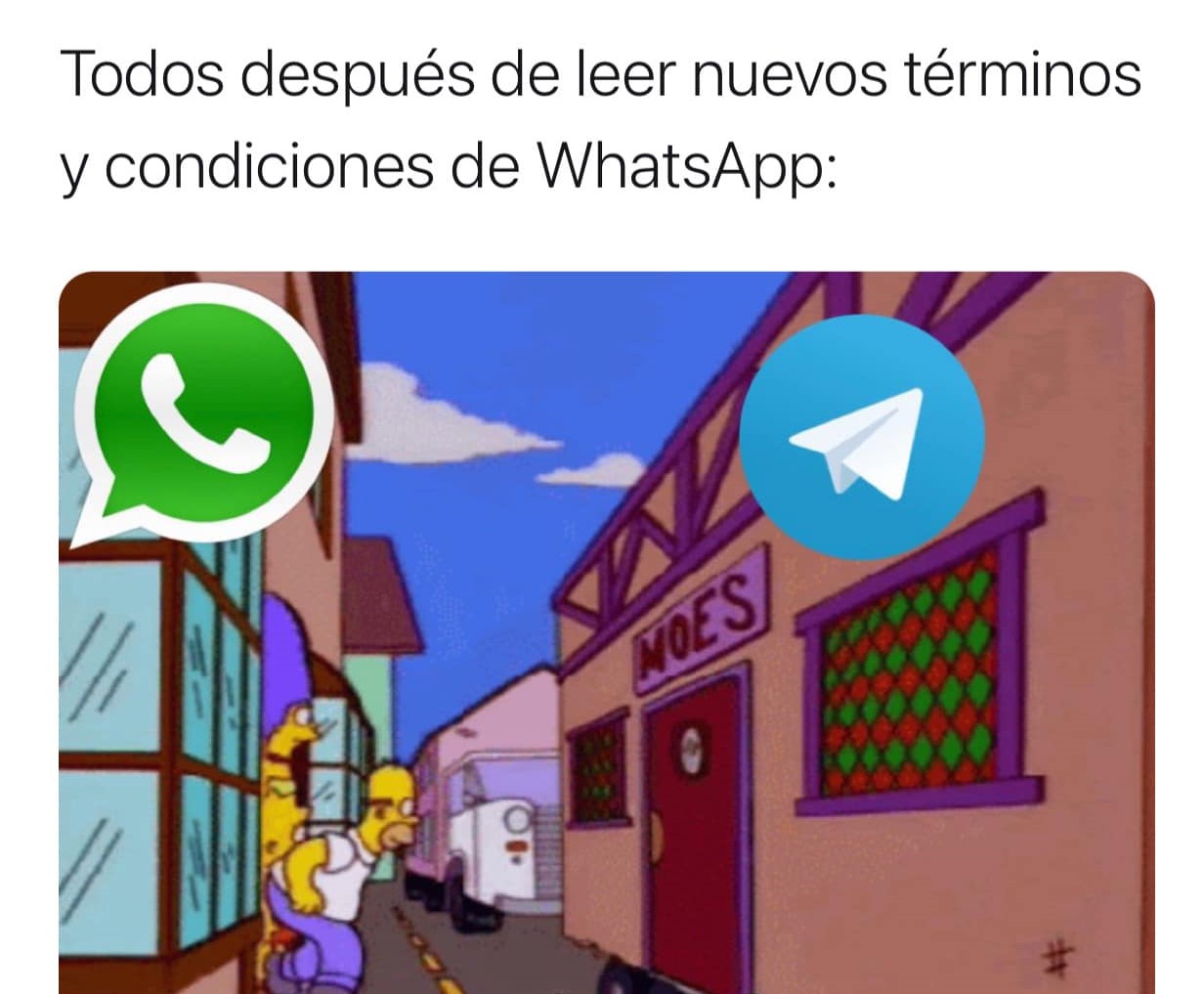 Lo memes de los nuevos términos de WhatsApp - GoBizNext